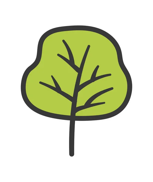 Verde follaje del árbol icono de la naturaleza botánica — Vector de stock