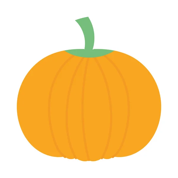 Pumpkin vegetable fresh autumn on white background — Stockvektor