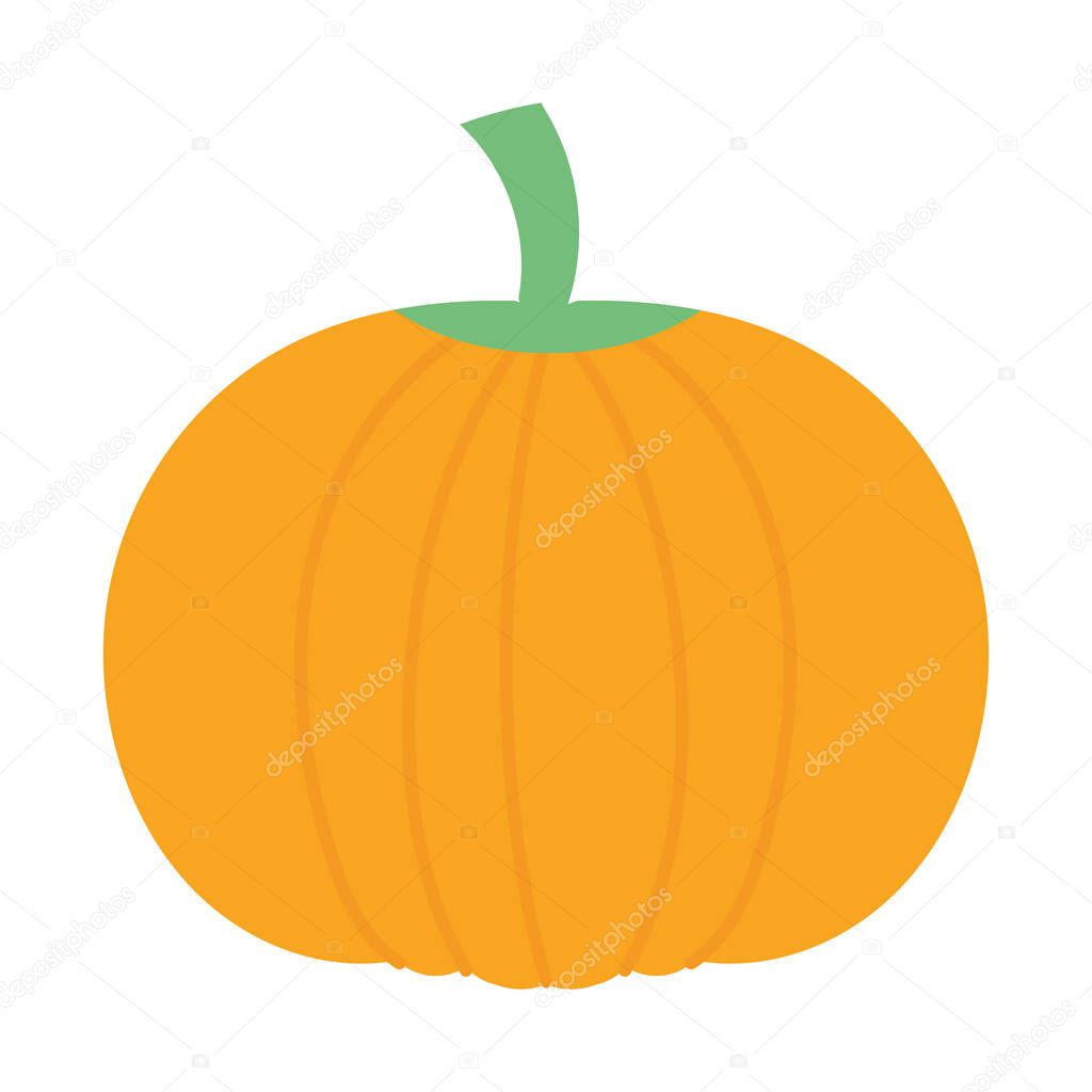 pumpkin vegetable fresh autumn on white background