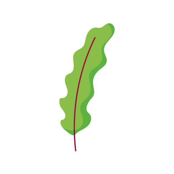 Leaf foliage nature icon on white background — 图库矢量图片