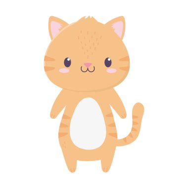 Tatlı kaplan hayvan çizgi filmi izole edilmiş ikon