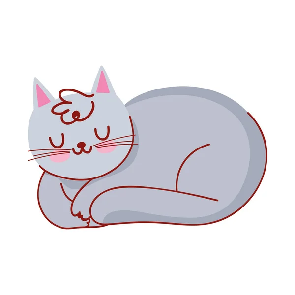 Sueño gris gato doméstico mascota dibujos animados aislado icono — Vector de stock