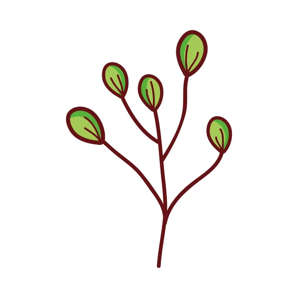 Филиал листья листвы мультфильм изолированный дизайн иконки — стоковый вектор