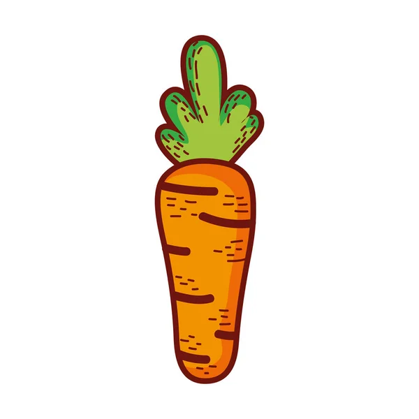 Zanahoria vegetal fresco dibujos animados aislado icono de diseño — Vector de stock