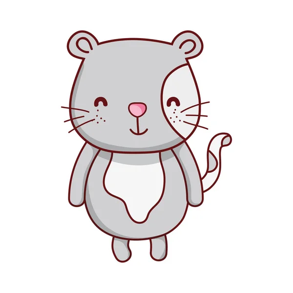 Mignon chat gris animal dessin animé isolé icône conception — Image vectorielle