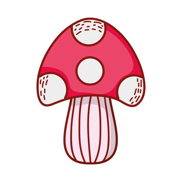 Cogumelo botânico desenho animado design ícone isolado — Vetor de Stock