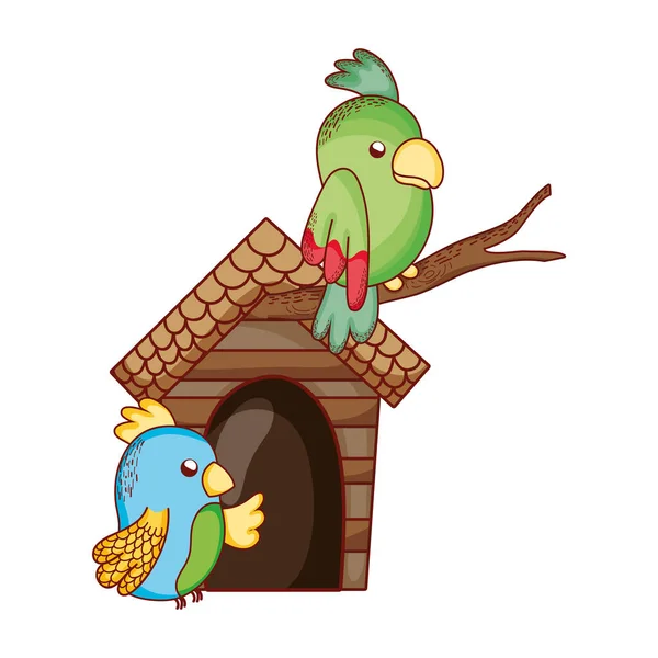 Cute animals, green and blue parrots in branch cartoon — ストックベクタ