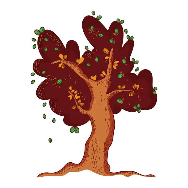 Árvore outonal folhas folhagem desenho animado ícone isolado design — Vetor de Stock