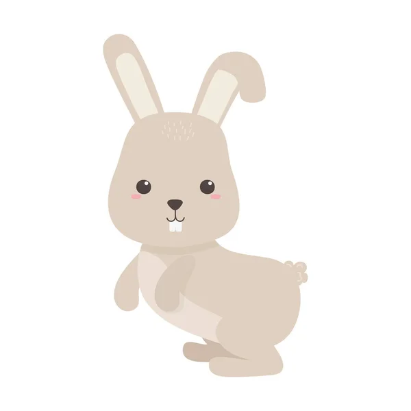 Niedliches kleines Kaninchen Tier Karikatur isoliert Ikone Design — Stockvektor