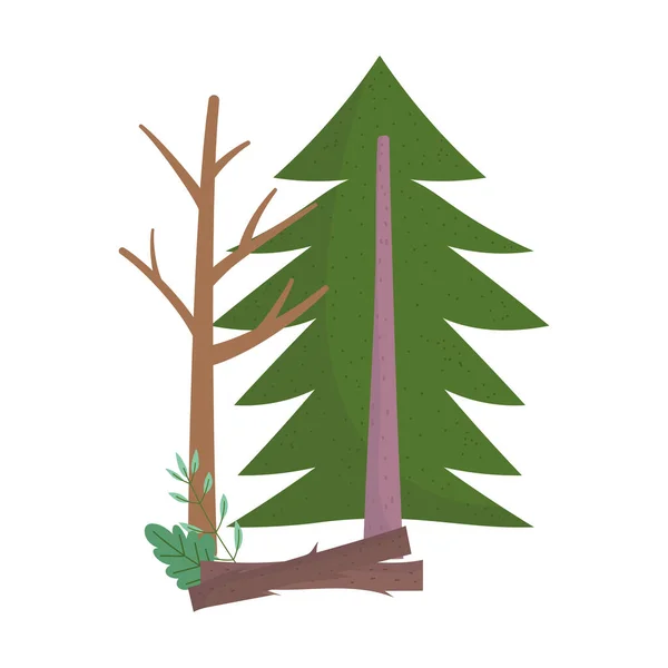 Dennenboom hout stam natuur geïsoleerd pictogram ontwerp — Stockvector