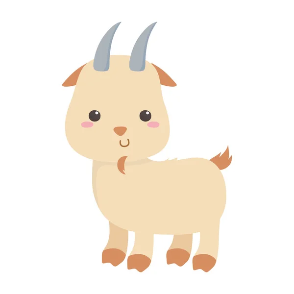 Lindo poco cabra animal dibujos animados aislado icono de diseño — Vector de stock
