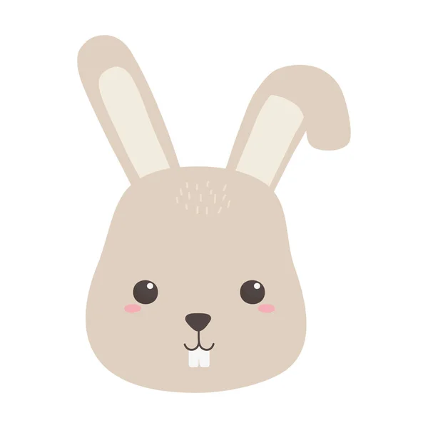 Mignon petit lapin visage animal dessin animé isolé design — Image vectorielle