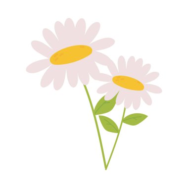 Papatya çiçekleri yaprak sapı doğa dekorasyon ikonu