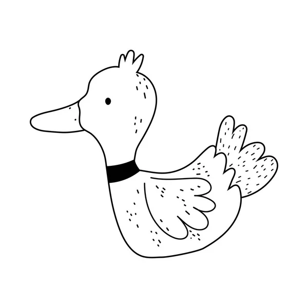 Canard dessin animé ferme animal isolé icône sur fond blanc style ligne — Image vectorielle