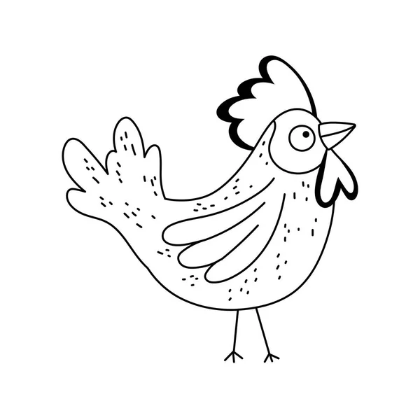 Volaille coq bande dessinée ferme animal isolé icône sur fond blanc style ligne — Image vectorielle