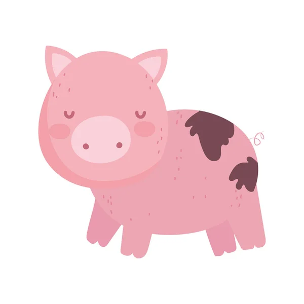 Pig with mud farm animal isolated icon on white background — Stock Vector