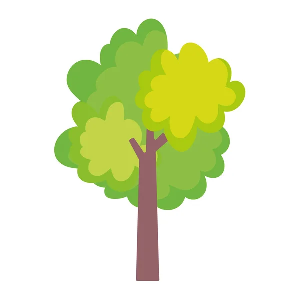 Árbol verde follaje naturaleza aislado icono sobre fondo blanco — Vector de stock