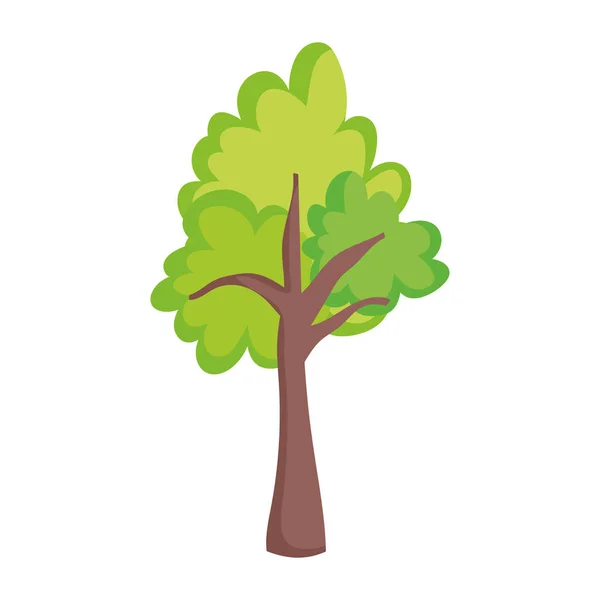 Árbol verde follaje naturaleza aislado icono sobre fondo blanco — Vector de stock