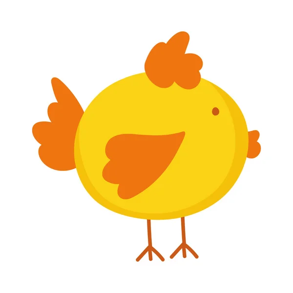Pollo cartone animato fattoria animale isolato icona su sfondo bianco — Vettoriale Stock