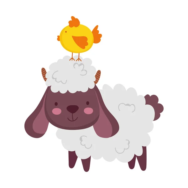 Granja animales lindos ovejas y pollo dibujos animados — Archivo Imágenes Vectoriales