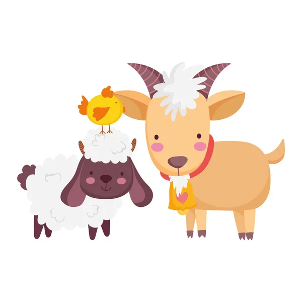 Animales de granja ovejas carnero y pollo icono de dibujos animados aislados sobre fondo blanco — Archivo Imágenes Vectoriales