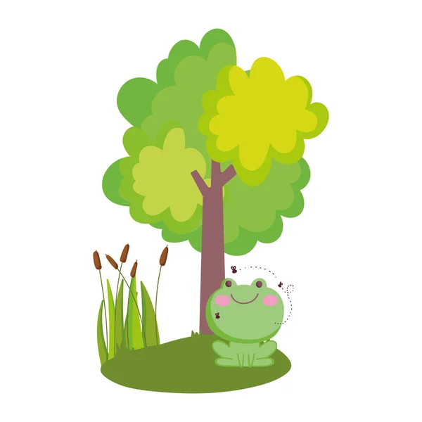 Animales de granja rana con moscas árbol volador follaje naturaleza dibujos animados — Vector de stock