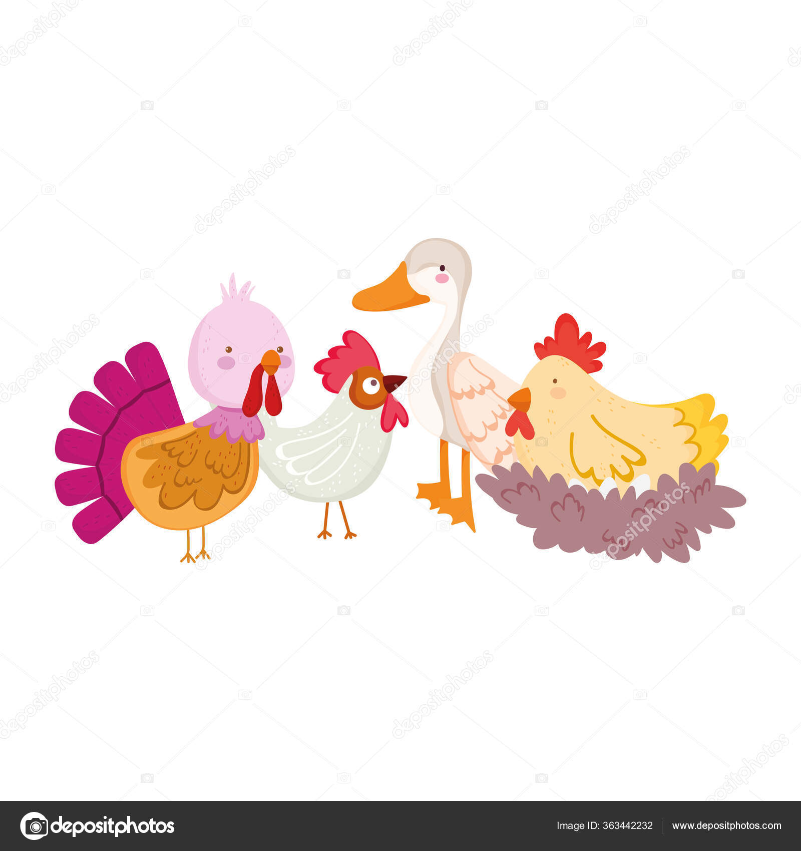 Farm animals poultry goose duck rooster turkey hen and chicken cartoon  Stock Vector Image by ©stockgiu #363442232