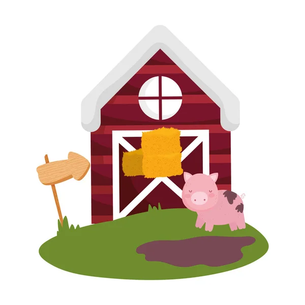 Fazenda animais porco pilha feno celeiro guia seta desenhos animados — Vetor de Stock
