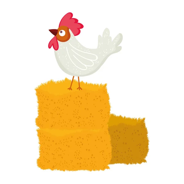 堆放在草场动物卡通画中的公鸡 — 图库矢量图片