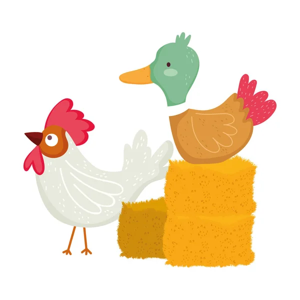 Hospodářská zvířata kachna a kohout stohu sena a stromu — Stockový vektor