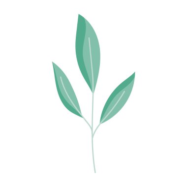 Dal yaprakları doğal botanik silikon simgesi beyaz arkaplan