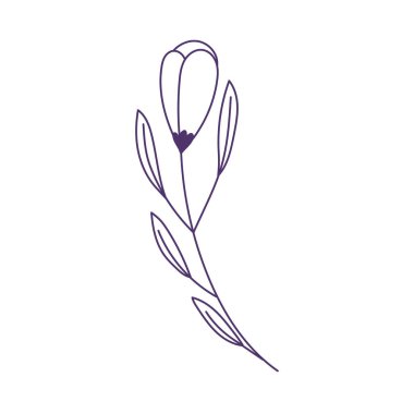 çiçek yaprağı kök botanik doğa dekorasyonu izole edilmiş ikon çizgi biçimi