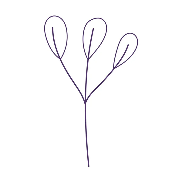 Branche feuilles feuillage naturel botanique siolé icône blanc fond ligne style — Image vectorielle