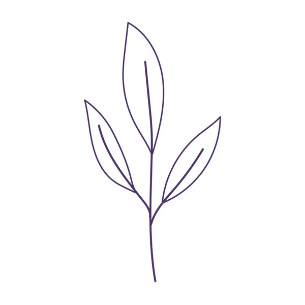 Ramo foglie fogliame naturale botanico siolated icona bianco sfondo linea stile — Vettoriale Stock