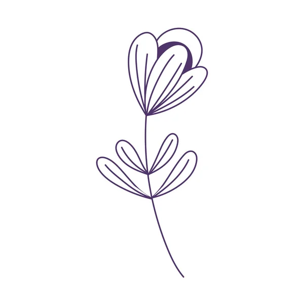 花卉叶柄植物自然装饰孤立的图标线条风格 — 图库矢量图片