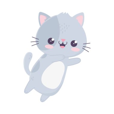 kawaii şirin kedi maskotu çizgi filmi izole edilmiş ikon