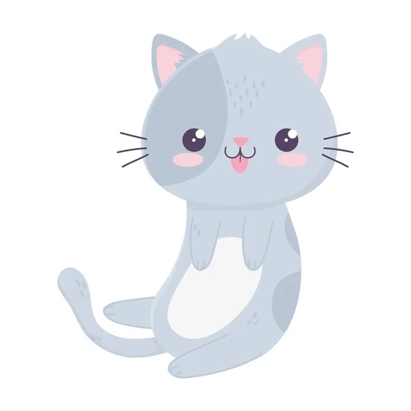 Kawaii niedliche Katze Maskottchen Karikatur isoliert Symbol — Stockvektor