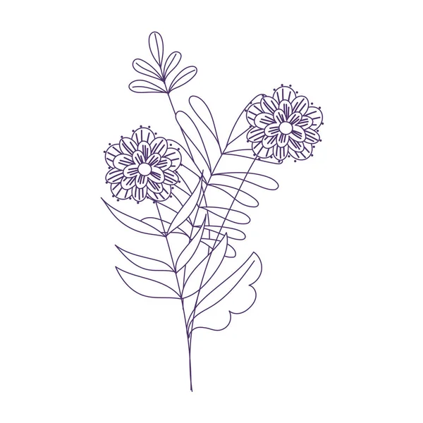Fiori foglie fogliame natura decorazione isolato icona linea stile — Vettoriale Stock