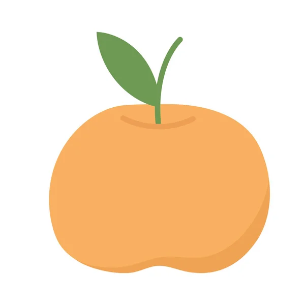 Diseño aislado de vectores de fruta naranja — Vector de stock