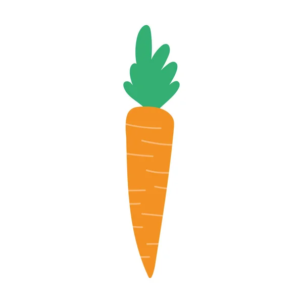 Zanahoria cosecha vegetal aislado icono fondo blanco — Vector de stock