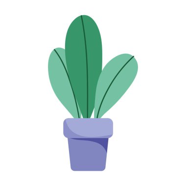 saksı bitkisi dekorasyonu iç izole edilmiş simge beyaz arkaplan