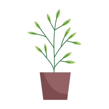 saksı bitkisi dekorasyonu iç izole edilmiş simge beyaz arkaplan