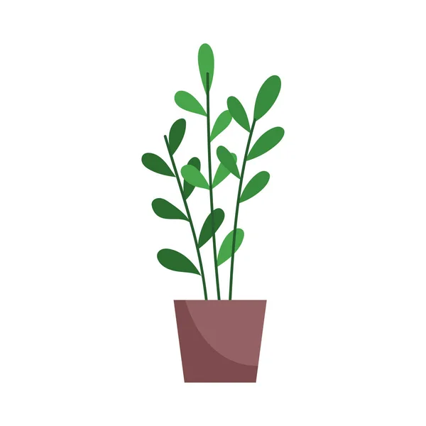 Potted plant decoration isolated icon on white background — Stock Vector