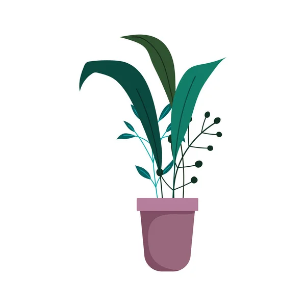 Macetas decoración de plantas icono aislado sobre fondo blanco — Vector de stock