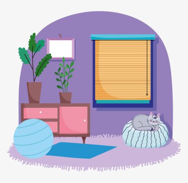 Evde kal, kedi minder topu mobilyasında ve saksı bitkilerinde