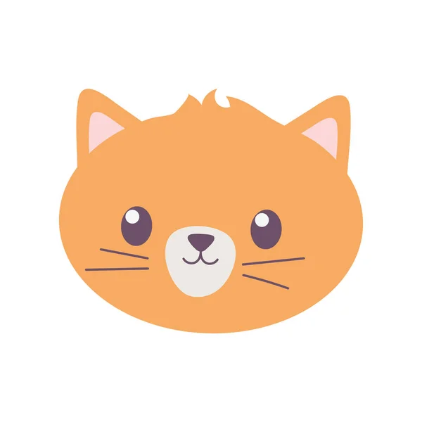 Mascota gato cara felino dibujos animados aislado icono sobre fondo blanco — Vector de stock