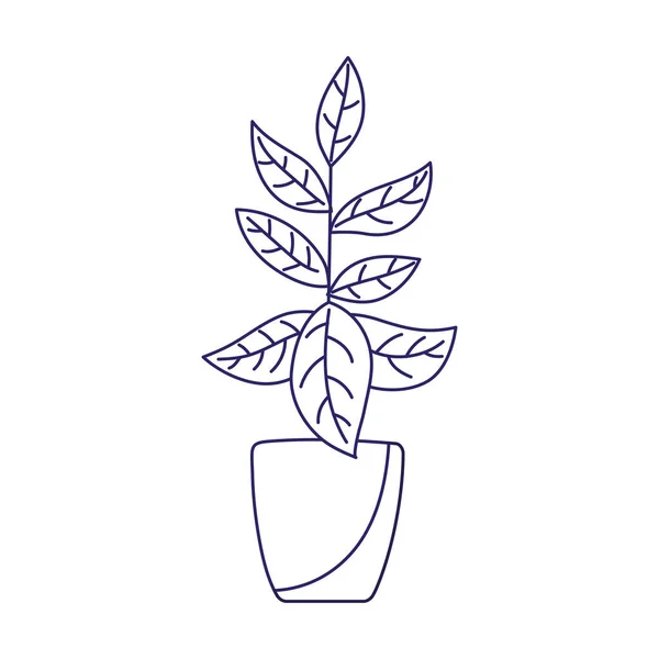 Envasado planta decoração isolado ícone no fundo branco — Vetor de Stock