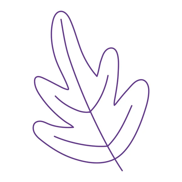 Leaf foliage nature botancial isolated icon on white background — Stock Vector