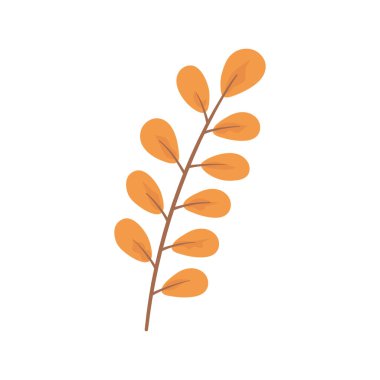 dal yaprakları bitkisel izole edilmiş simge beyaz arkaplan