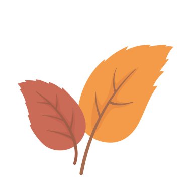 sonbahar yaprakları izole edilmiş simge beyaz arkaplan